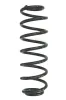 Fahrwerksfeder Hinterachse SPIDAN GKNW10212
