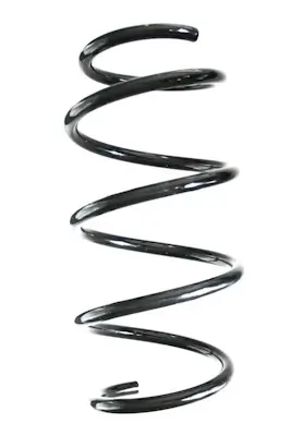 Fahrwerksfeder Vorderachse SPIDAN GKNW10216