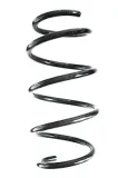 Fahrwerksfeder Vorderachse SPIDAN GKNW10216