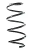 Fahrwerksfeder Vorderachse SPIDAN GKNW10217