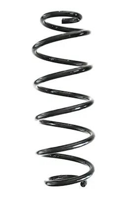 Fahrwerksfeder Hinterachse SPIDAN GKNW10218