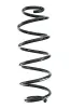 Fahrwerksfeder Hinterachse SPIDAN GKNW10218