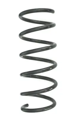 Fahrwerksfeder Hinterachse SPIDAN GKNW10218