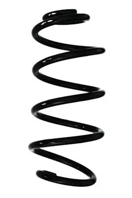 Fahrwerksfeder Hinterachse SPIDAN GKNW10222