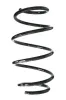 Fahrwerksfeder Vorderachse SPIDAN GKNW10224