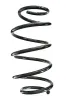 Fahrwerksfeder Vorderachse SPIDAN GKNW10225