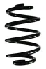 Fahrwerksfeder Hinterachse SPIDAN GKNW10226