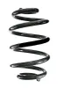 Fahrwerksfeder Hinterachse SPIDAN GKNW10227