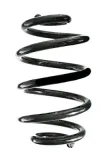 Fahrwerksfeder Hinterachse SPIDAN GKNW10227