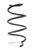 Fahrwerksfeder Vorderachse SPIDAN GKNW10230