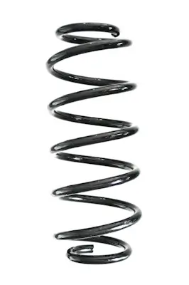 Fahrwerksfeder Hinterachse SPIDAN GKNW10231
