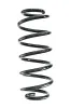 Fahrwerksfeder Hinterachse SPIDAN GKNW10231