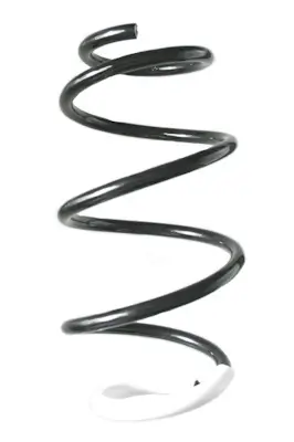 Fahrwerksfeder Vorderachse SPIDAN GKNW10233