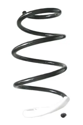 Fahrwerksfeder Vorderachse SPIDAN GKNW10234 Bild Fahrwerksfeder Vorderachse SPIDAN GKNW10234