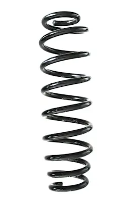 Fahrwerksfeder Hinterachse SPIDAN GKNW10236