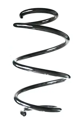 Fahrwerksfeder Vorderachse SPIDAN GKNW10238