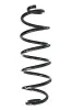 Fahrwerksfeder Hinterachse SPIDAN GKNW10239