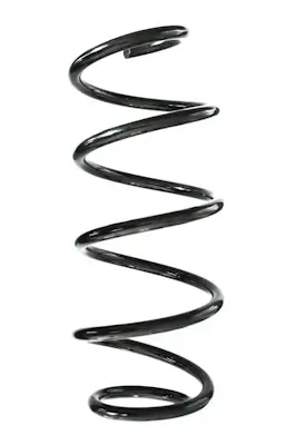 Fahrwerksfeder Vorderachse SPIDAN GKNW10243