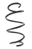 Fahrwerksfeder Vorderachse SPIDAN GKNW10244