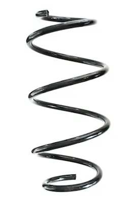 Fahrwerksfeder Vorderachse SPIDAN GKNW10245