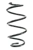 Fahrwerksfeder Vorderachse SPIDAN GKNW10245