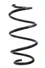 Fahrwerksfeder Vorderachse SPIDAN GKNW10246