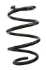 Fahrwerksfeder Vorderachse SPIDAN GKNW10247