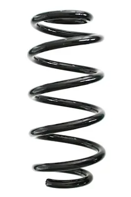 Fahrwerksfeder Hinterachse SPIDAN GKNW10248