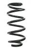 Fahrwerksfeder Hinterachse SPIDAN GKNW10248