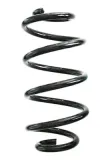 Fahrwerksfeder Hinterachse SPIDAN GKNW10249