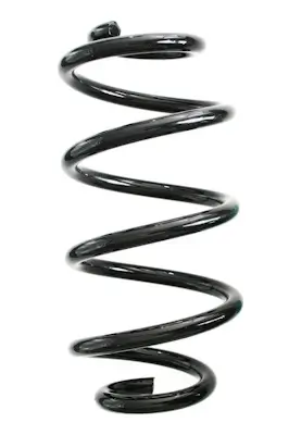 Fahrwerksfeder Hinterachse SPIDAN GKNW10249 Bild Fahrwerksfeder Hinterachse SPIDAN GKNW10249