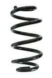 Fahrwerksfeder Hinterachse SPIDAN GKNW10251