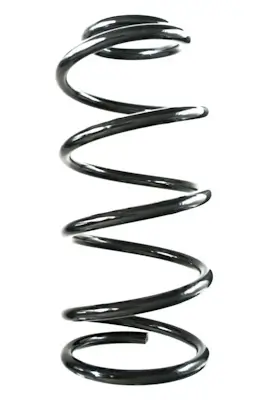 Fahrwerksfeder Vorderachse SPIDAN GKNW10256