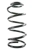 Fahrwerksfeder Vorderachse SPIDAN GKNW10256
