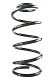Fahrwerksfeder Vorderachse SPIDAN GKNW10256