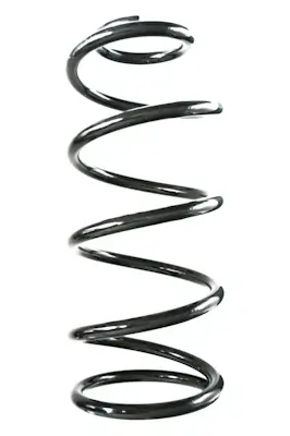 Fahrwerksfeder Vorderachse SPIDAN GKNW10257