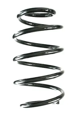 Fahrwerksfeder Vorderachse SPIDAN GKNW10260