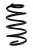 Fahrwerksfeder Vorderachse SPIDAN GKNW10261