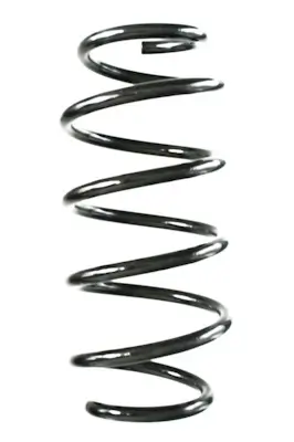 Fahrwerksfeder Vorderachse SPIDAN GKNW10262
