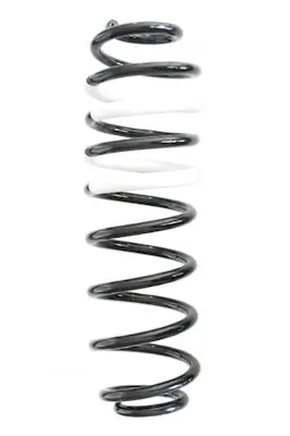 Fahrwerksfeder Hinterachse SPIDAN GKNW10263 Bild Fahrwerksfeder Hinterachse SPIDAN GKNW10263