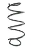 Fahrwerksfeder Vorderachse SPIDAN GKNW10268