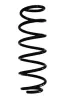 Fahrwerksfeder Hinterachse SPIDAN GKNW10278