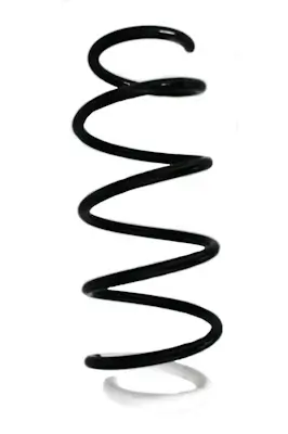 Fahrwerksfeder Vorderachse SPIDAN GKNW10280 Bild Fahrwerksfeder Vorderachse SPIDAN GKNW10280