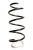 Fahrwerksfeder Vorderachse SPIDAN GKNW10282