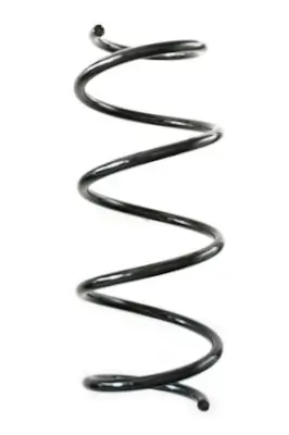 Fahrwerksfeder Vorderachse SPIDAN GKNW10288