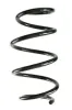Fahrwerksfeder Vorderachse SPIDAN GKNW10291