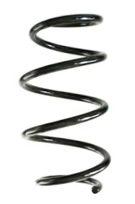 Fahrwerksfeder Vorderachse SPIDAN GKNW10291 Bild Fahrwerksfeder Vorderachse SPIDAN GKNW10291