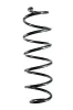 Fahrwerksfeder Hinterachse SPIDAN GKNW10293