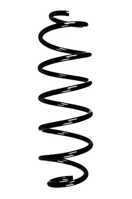 Fahrwerksfeder Hinterachse SPIDAN GKNW10295