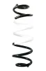 Fahrwerksfeder Hinterachse SPIDAN GKNW10296